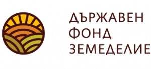 LogoDFZ dfz дфз