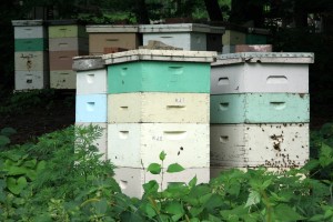 Beehives кошер