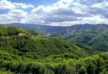 По какво се различават минералните води в България